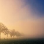 jplenio-fog-3764991_1920