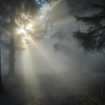 pixifant-sunbeams-1547273_1920